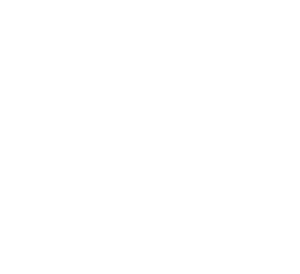 ISO-9001