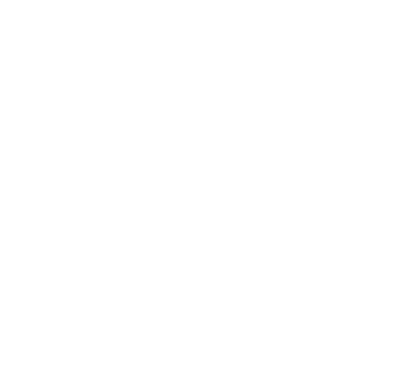 ISO-9001